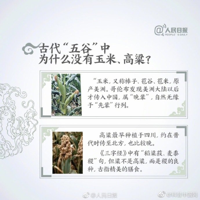 长知识！9图送给“五谷不分”的你