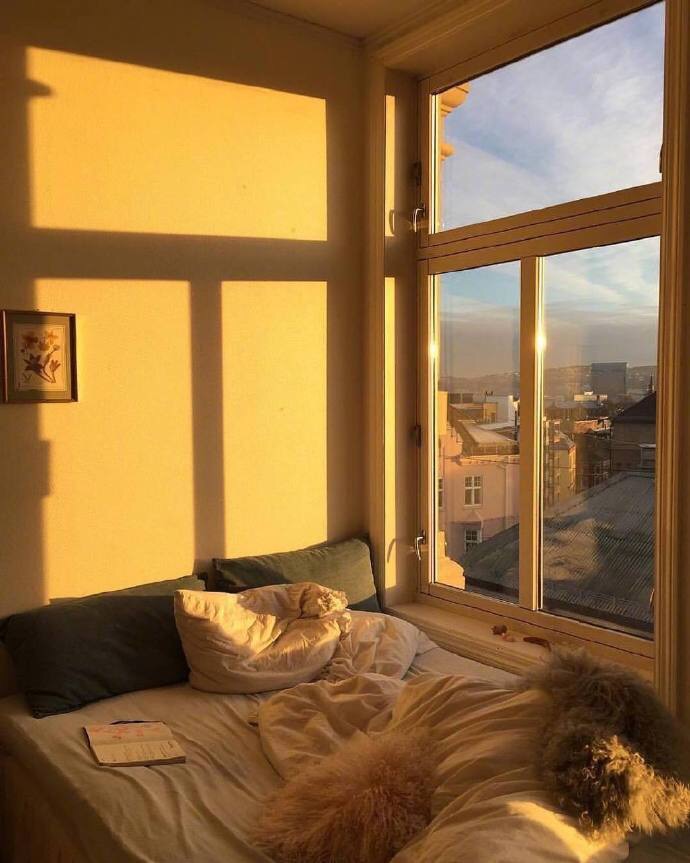 夕阳下自己的小房间,一天中最喜欢的时光了