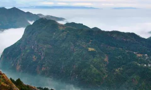 有谁知道温州的美食一条街在哪 怎样去 (有谁知道温州高铁事故的真实情况)