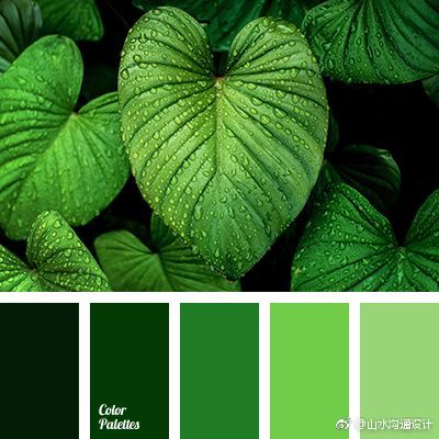 绿色系配色
