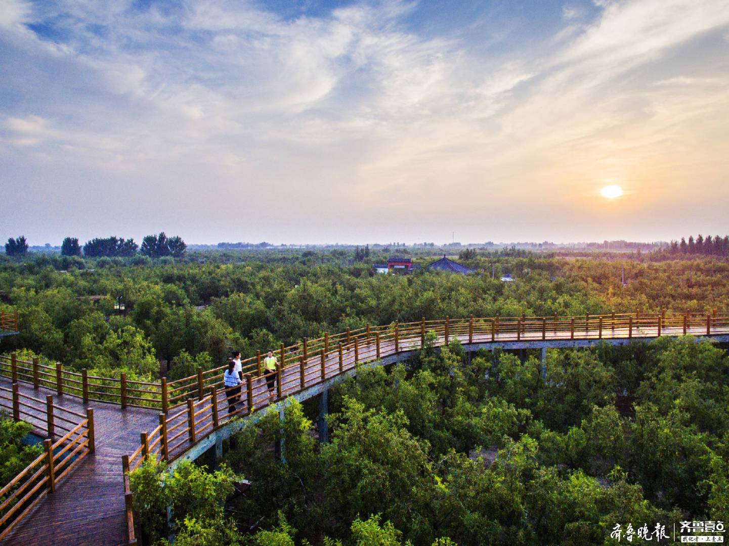 乐陵美女服务价格是多少，告诉你真实情况