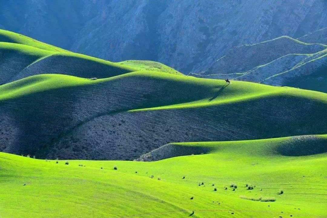 新疆的春不像南方的小家碧玉。而是春的朝气蓬勃,春的充满动力