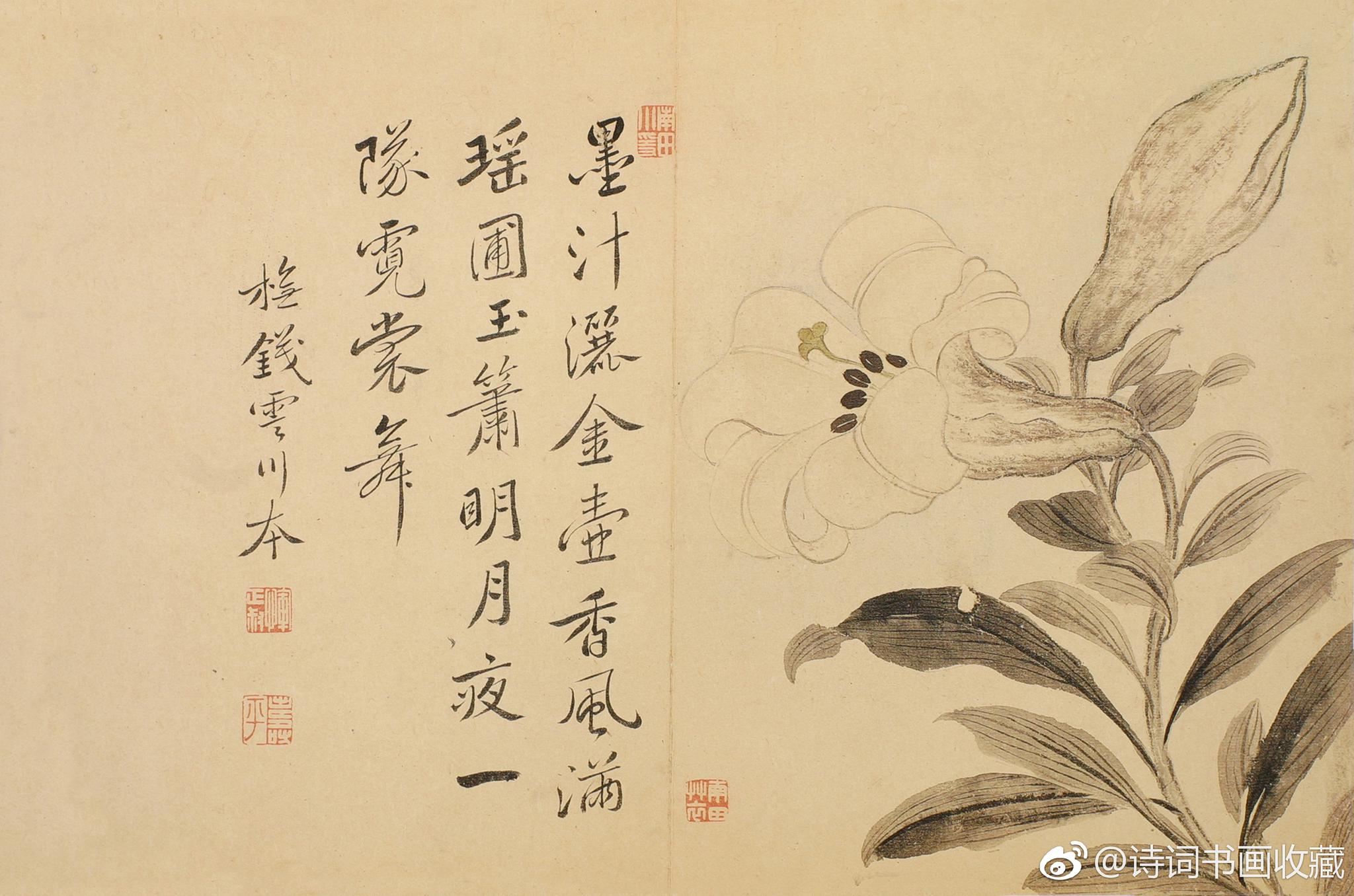 恽南田（1633-1690），原名格，字寿平|恽南田|花卉画|开山祖师_新浪新闻