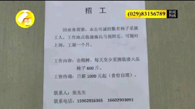 临潼招聘信息_临潼招聘老师最新消息 含临潼详情表(3)