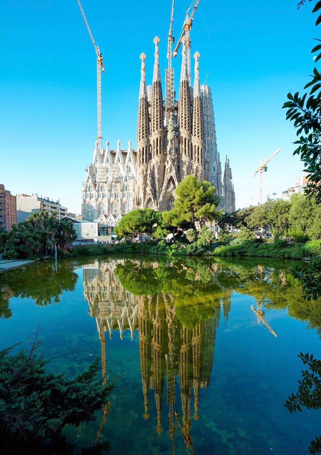2021圣家族大教堂-旅游攻略-门票-地址-问答-游记点评，巴塞罗那旅游旅游景点推荐-去哪儿攻略