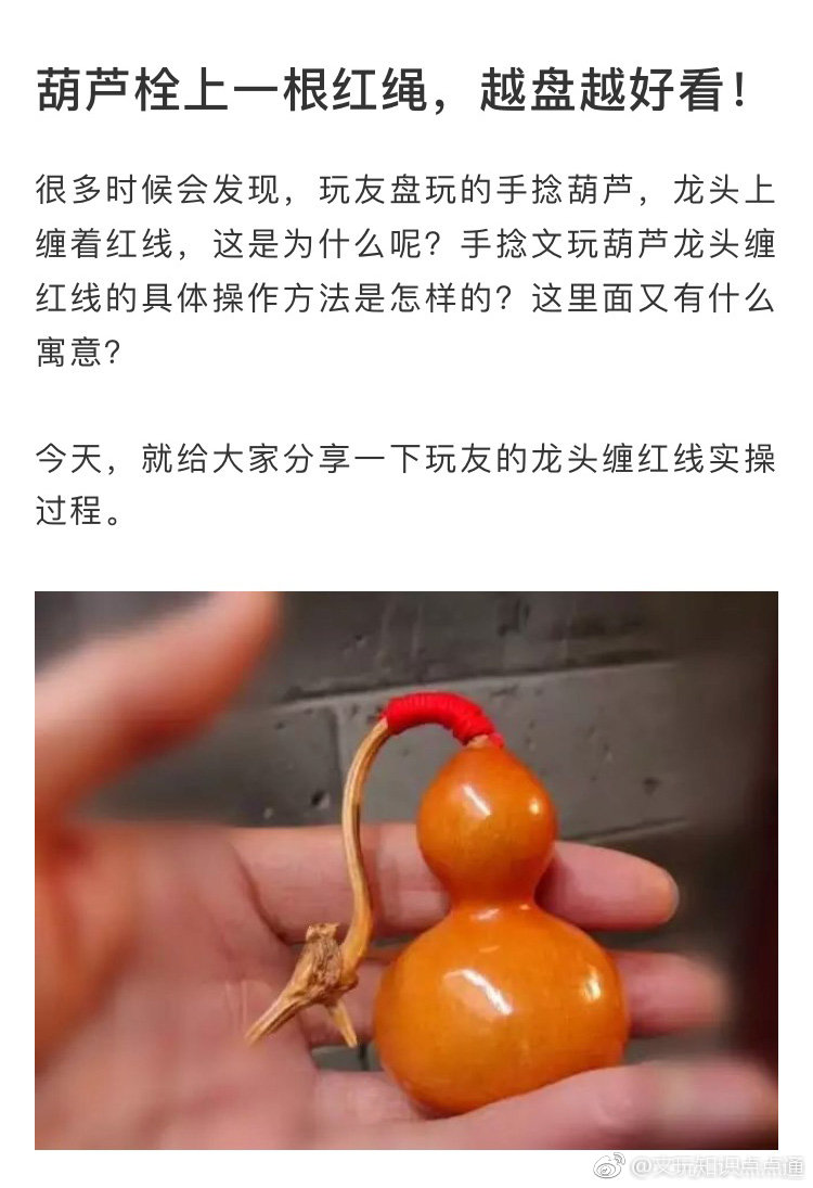 成都红绳逍遥论坛的独特魅力和相关话题解析