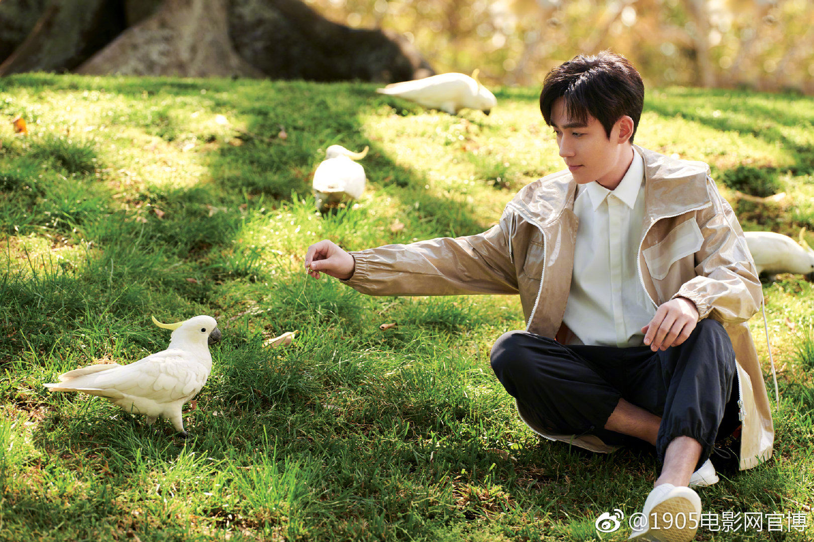 近日 写真集曝光。手持一杯香浓咖啡，在夕阳下的海滩边