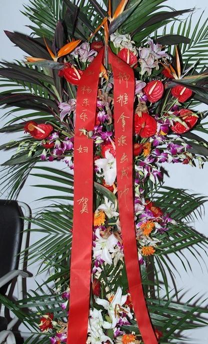 《知否》的小秦氏心机深沉，王一楠和高鑫的戏外婚姻却彷如盛明兰