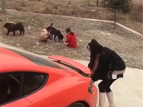 “50-70万欧系跑车“最全资讯一网打尽，有我就够了