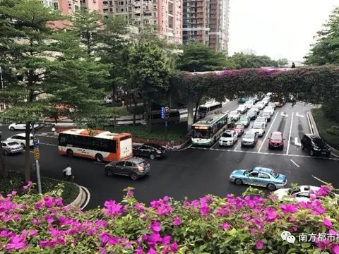 刚刚，广州放宽粤A牌竞拍摇号指标！分配方案在这