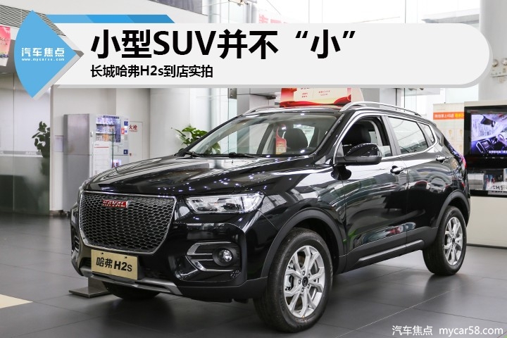 让我们一起“哈迷”?最高售价8.5万的它如何成为销量冠军