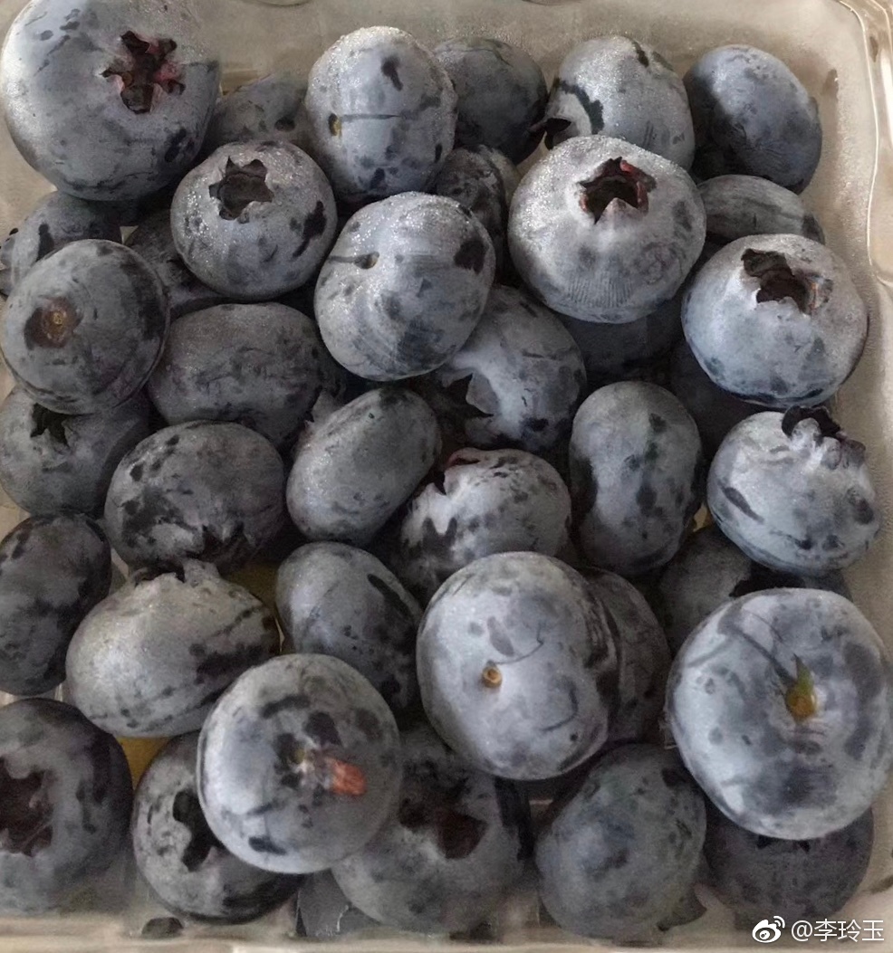 北京最近几天雾霾很是严重感冒还在恢复中的我