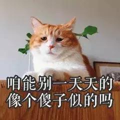 吃瓜路人守则？饭圈的那些坑你一定要避开！