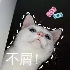 吃瓜路人守则？饭圈的那些坑你一定要避开！