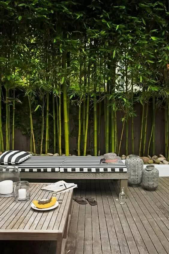 住竹林,居竹屋,点竹灯,用竹器!