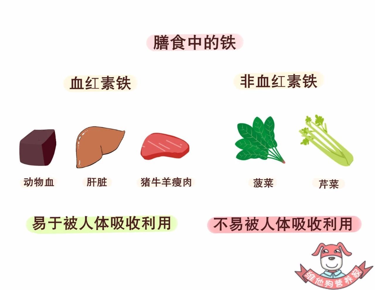 贫血要补铁如何补铁效果好这波科普你一定要收下