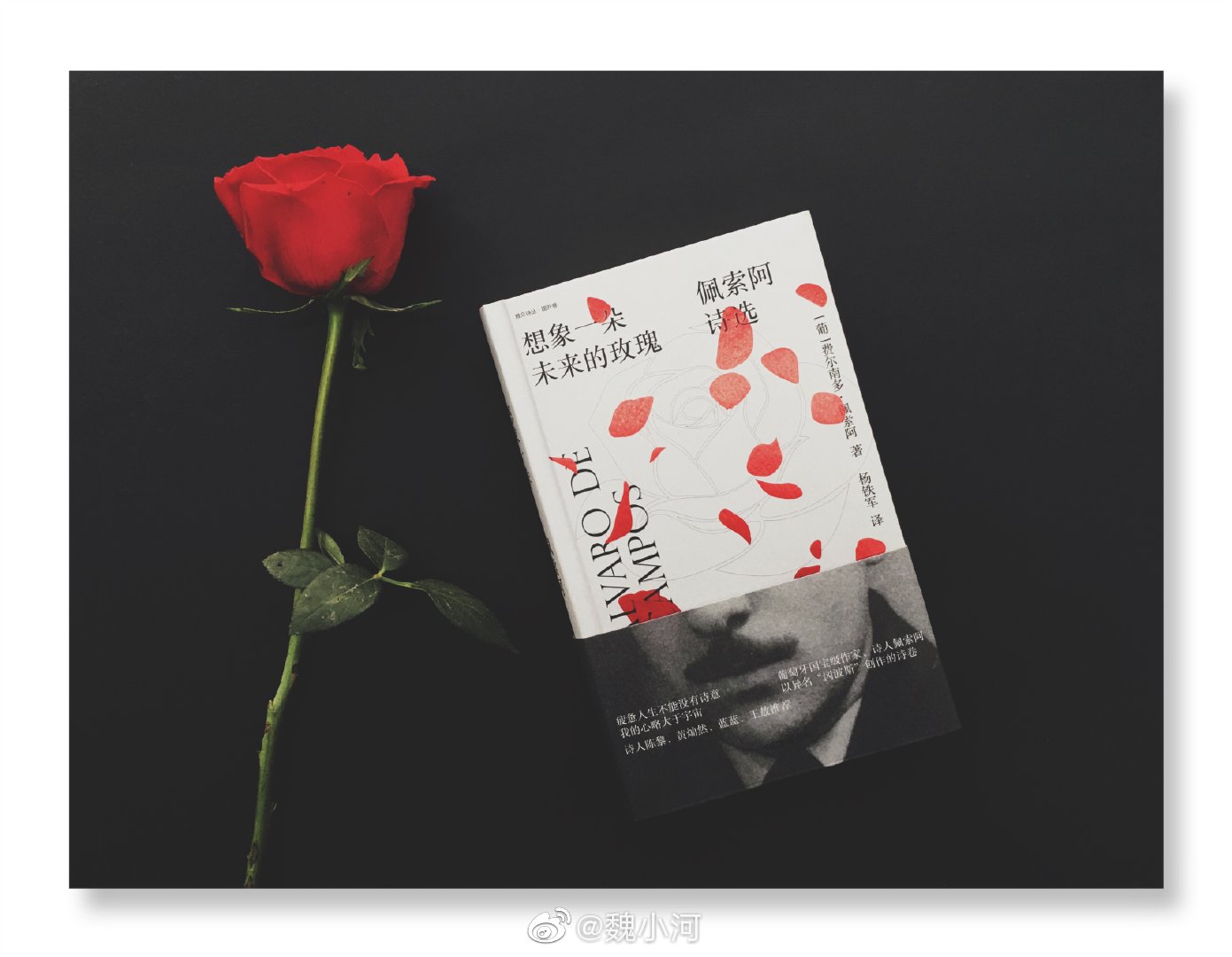 今天抽送的书是佩索阿的诗集《想象一朵未来的玫瑰》
