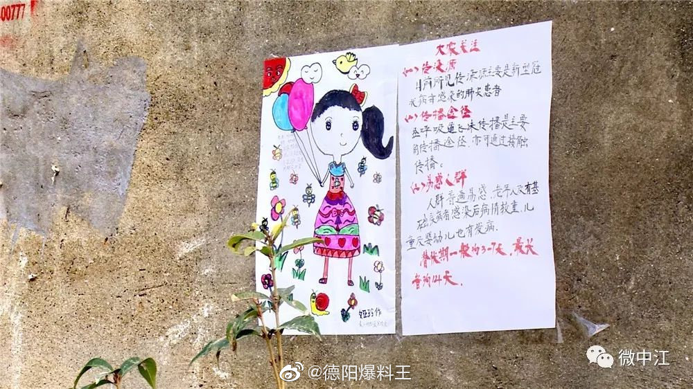 中江县回龙镇人口_中江县回龙镇中学(2)