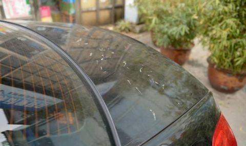 百万奔驰停车场待一周被划成“大花猫”损失上万，物业该不该赔