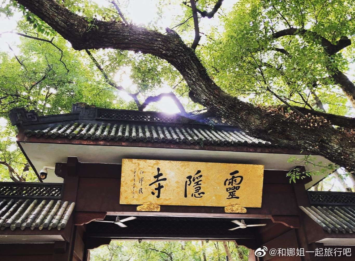 杨妞花