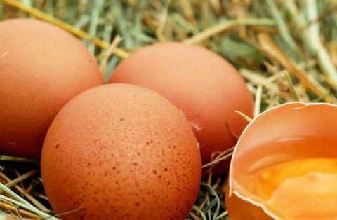 母鸡没有公鸡会下蛋吗 未受精鸡蛋能孵小鸡吗