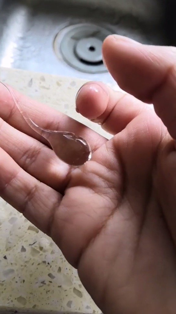 这是在我小区抓蝌蚪抓到的,透明蝌蚪吗,好可怕