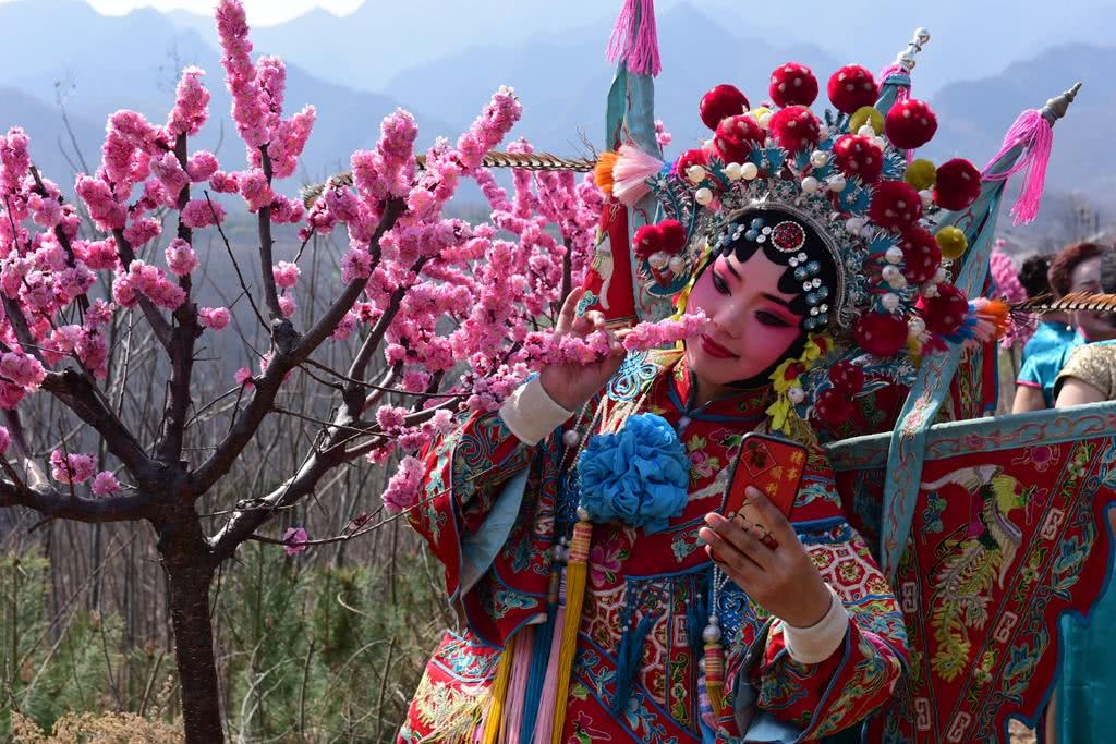 千亩红梅基地地处周至县风光秀丽的秦岭山下西南塬区,属丹阳联村党委