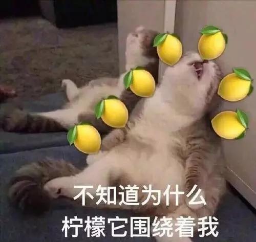 哈哈哈哈哈他的妈呀,原来明星的家长也不走寻常路