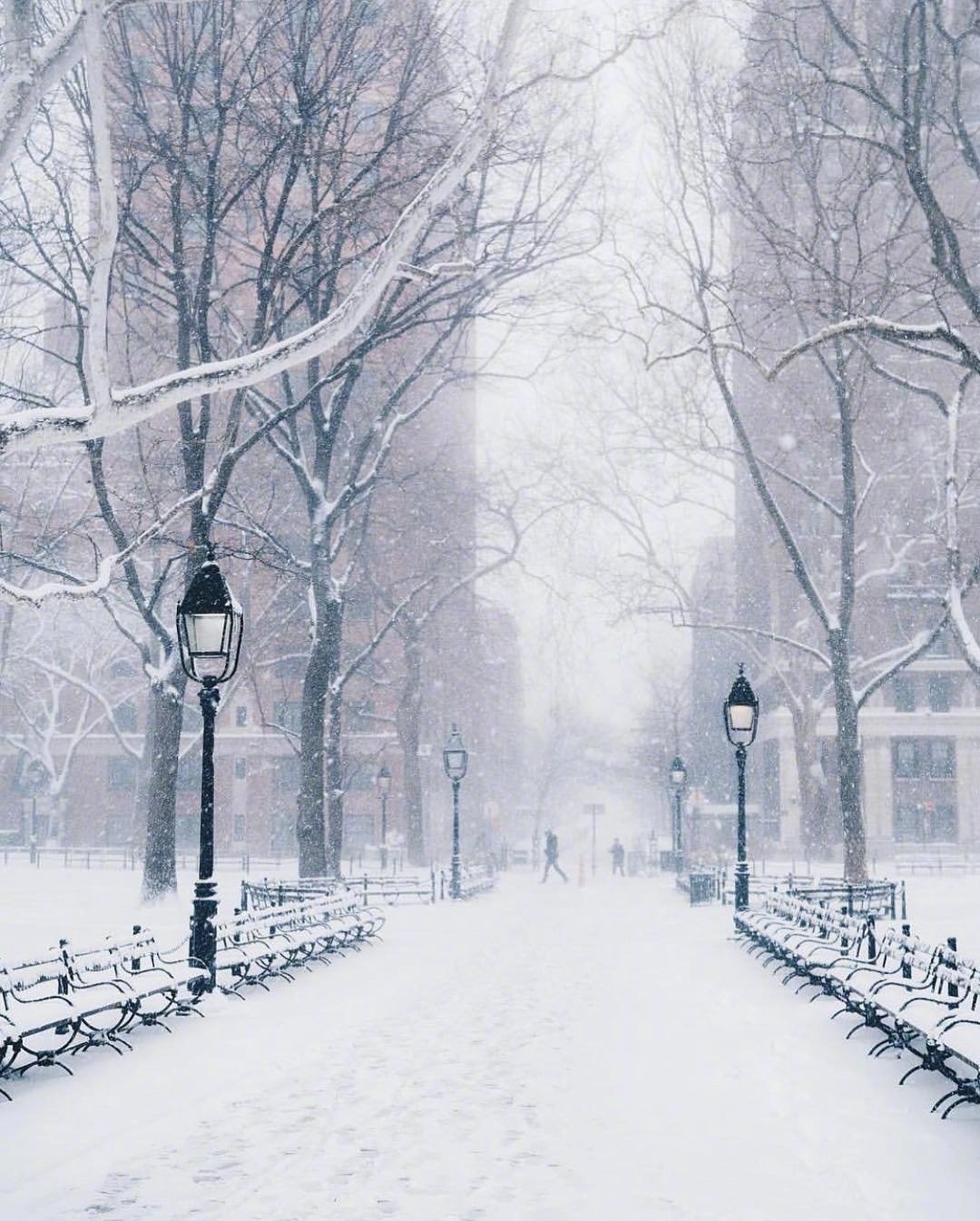 上海,南京,杭州都下雪了,那我们再来看看纽约的大雪