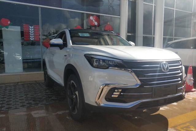 想知道“到店实拍“最近有什么新消息么，都在这里了