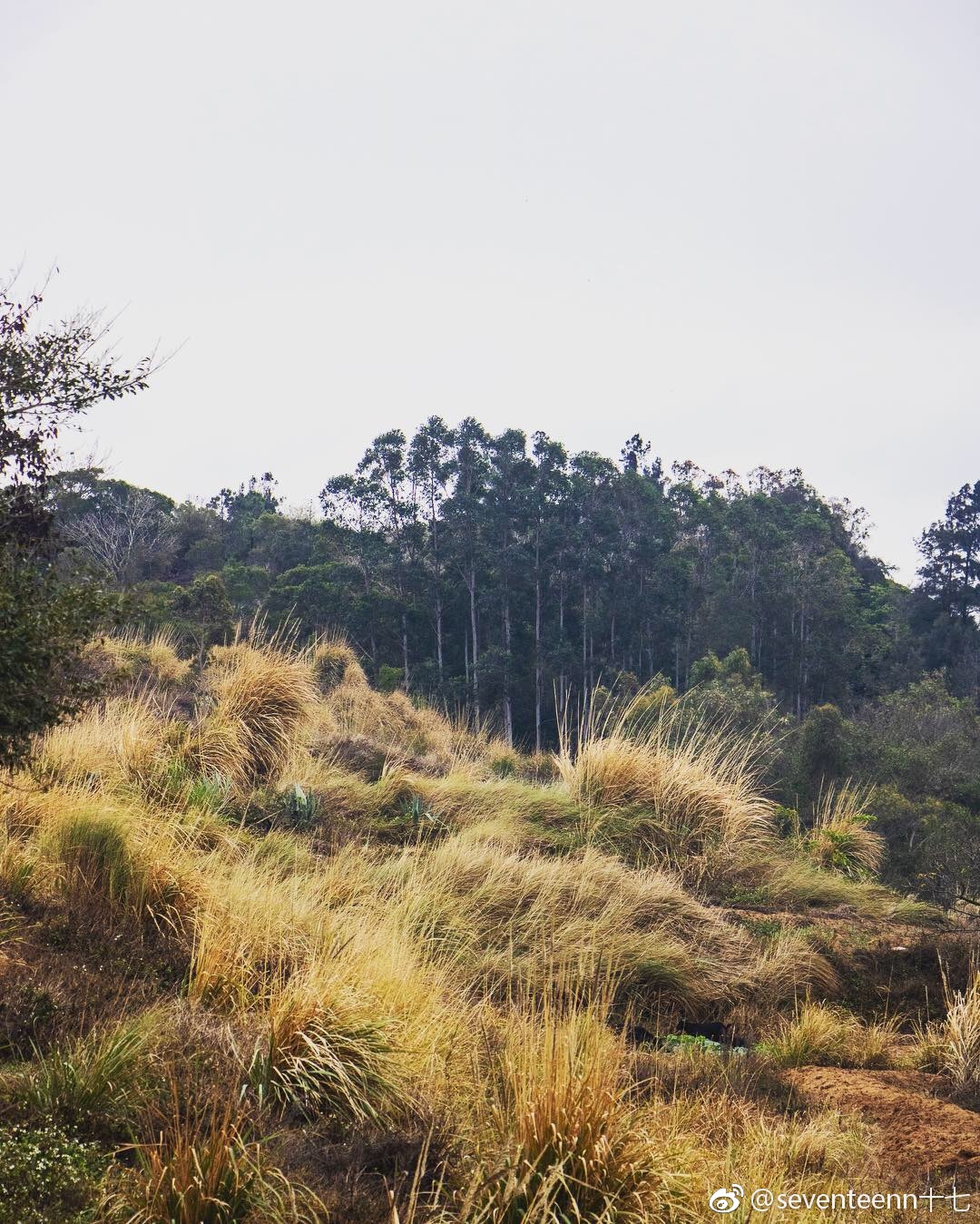 厦门周边超小众秘境胜似济州岛的无人小岛来厦
