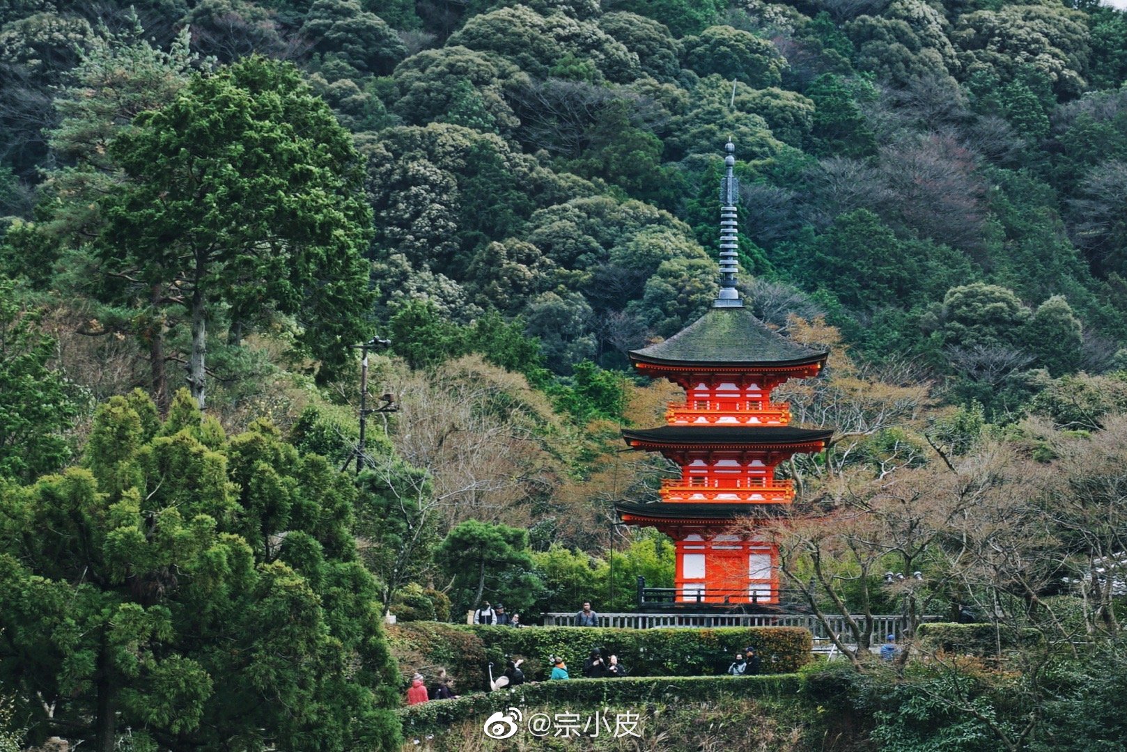 清水寺 来京都旅游都会来这里吧 清水寺是世界文化遗产 高清图集 新浪网