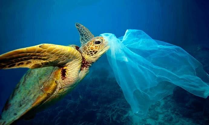 塑料污染已经袭击人体,再不重视或将被侵蚀!