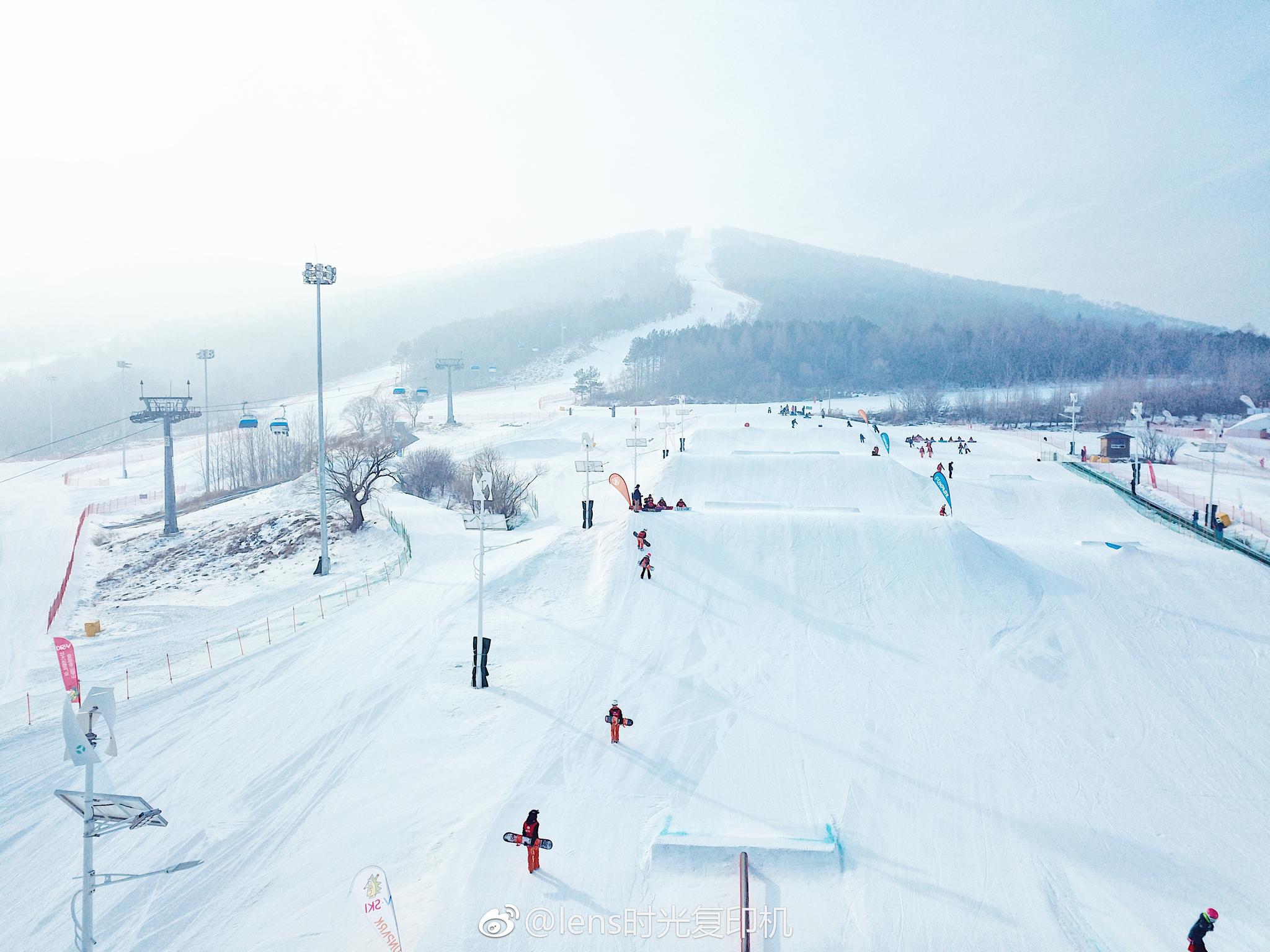《体育场的流浪猫王》：再一次和猫王苍耳续写英雄梦百家乐- 百家乐官方网站- 百家乐在线- Baccarat Online