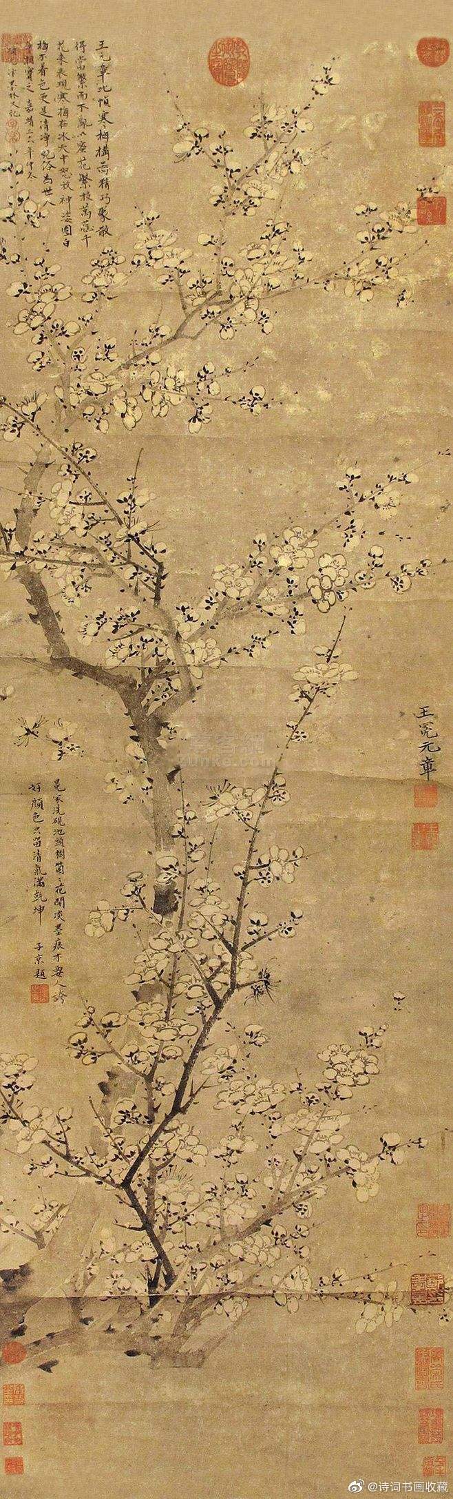 元代画家王冕画梅欣赏|王冕|墨梅|构图_新浪新闻