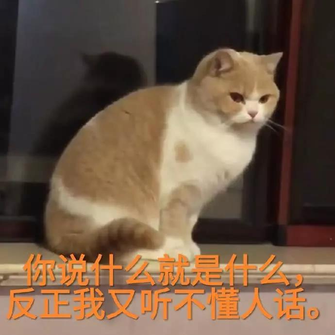 蜜桃猫咪表情包:你说什么就是什么,反正我听不懂人话