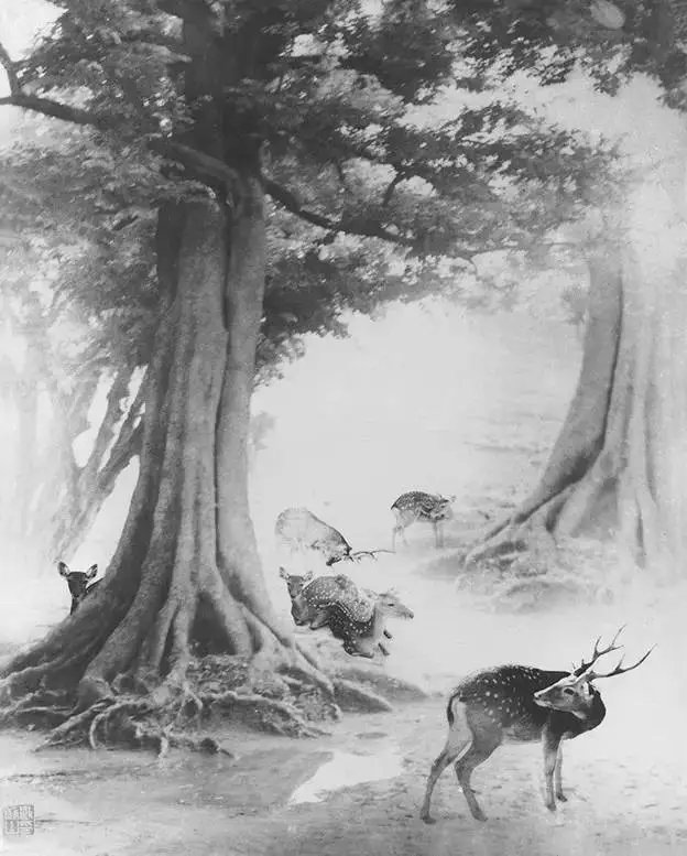 103岁徒步登黄山只为拍一张照片，这个104岁老头这一生活得真赚！