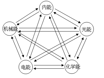 南瓜质量来源之谜 质量守恒定律与植物生长
