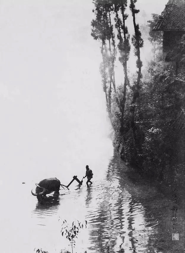 103岁徒步登黄山只为拍一张照片，这个104岁老头这一生活得真赚！