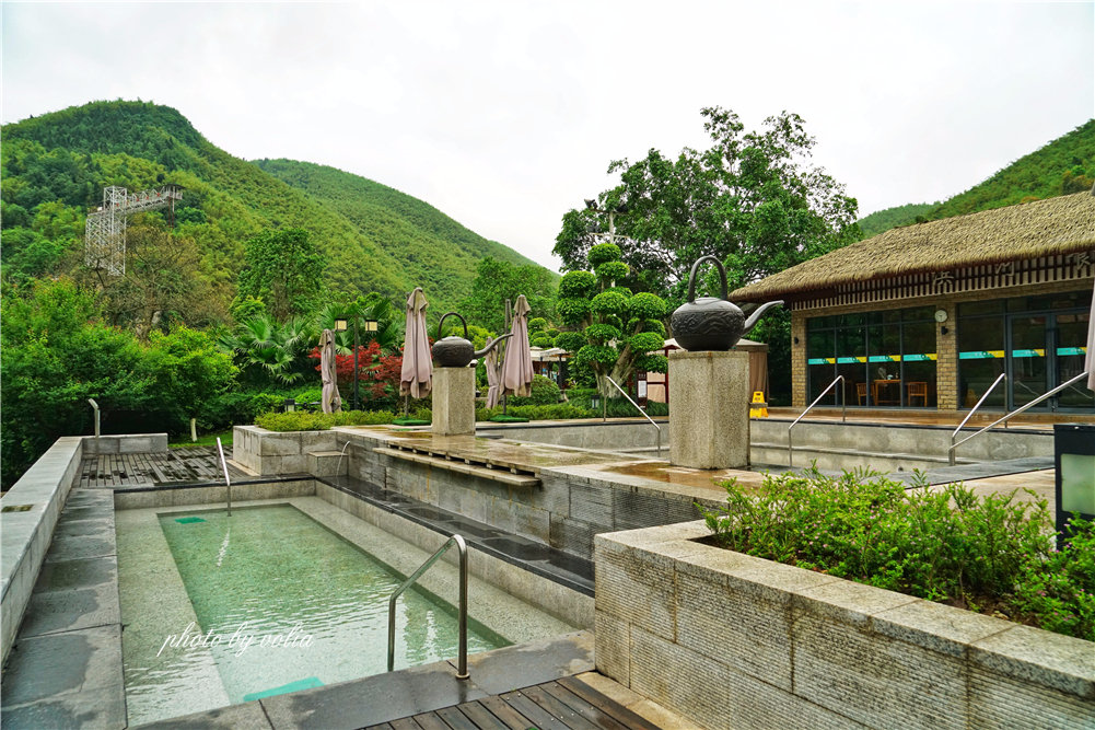 咸宁同城品茶指南：从百年老店到网红新宠的味蕾盛宴