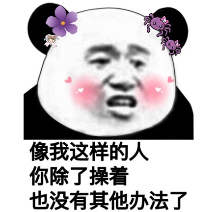 熊猫猫污污内涵表情包