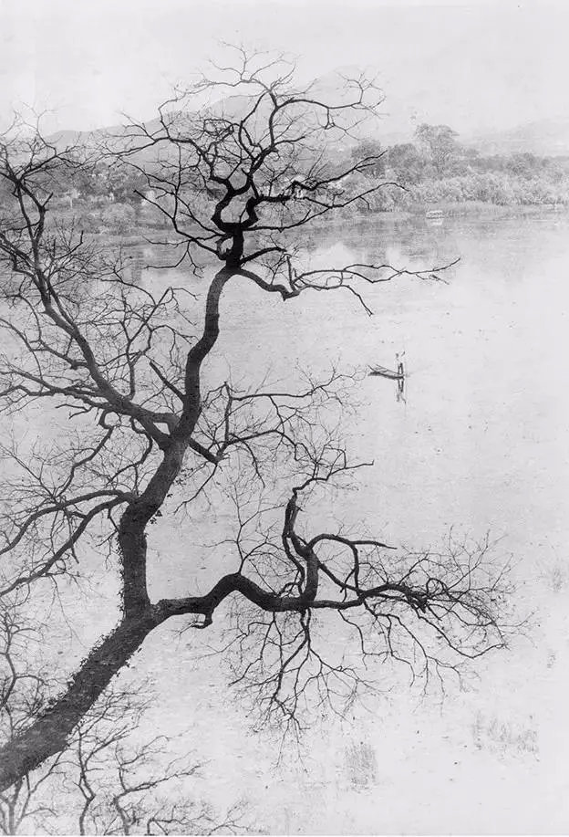 103岁徒步登黄山只为拍一张照片，这个104岁老头这一生活得真赚！