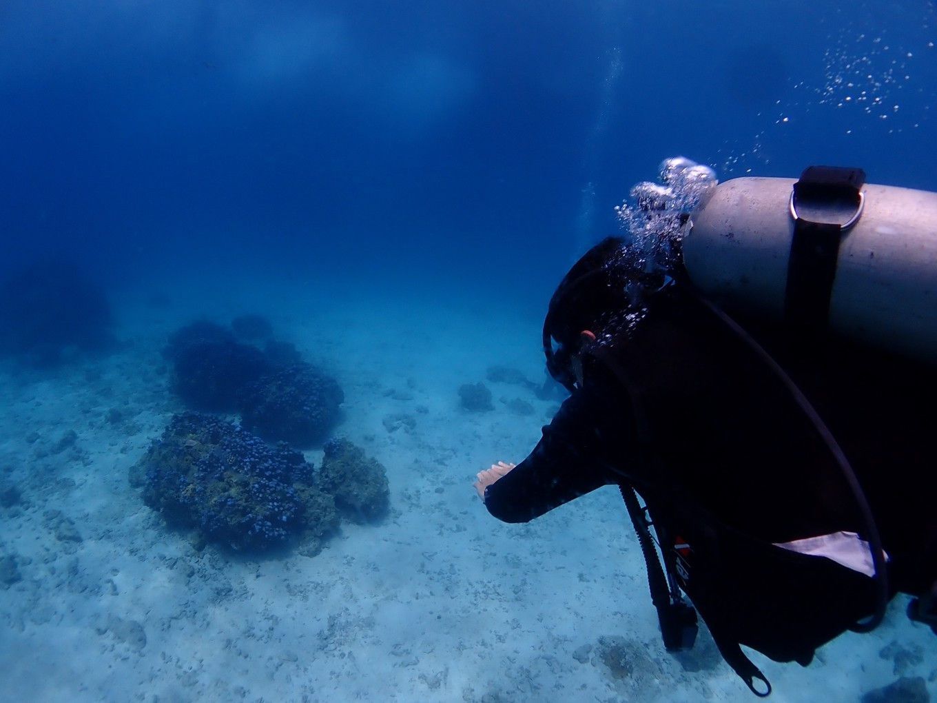 【携程攻略】普吉岛皇帝岛景点,真想要好好潜水的，请到当地订 PADI Discover Diving Course，差不多…
