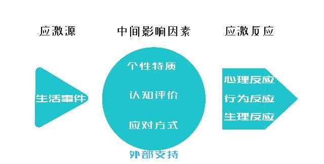 培养孩子自控力：孩子学习跟不上，如何打破负循环？