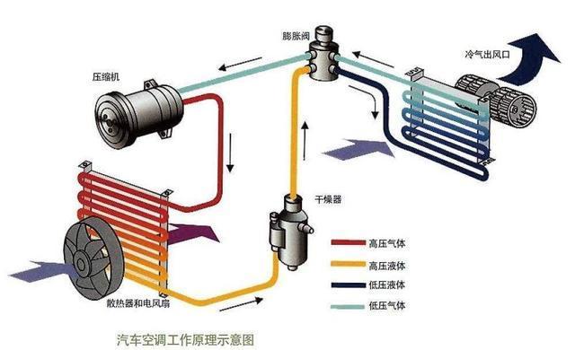 平时不起眼的杨絮、柳絮对汽车影响这么大！建议大家好好检查这些部件