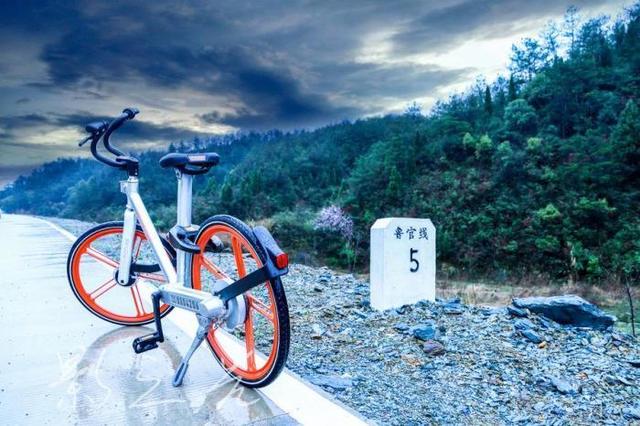 年轻人买什么样的车?老司机吐血推荐,这几款车性价比最高