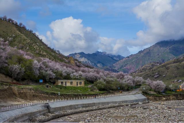 新疆原始野果林,是天山深处的世外桃源!真像神仙居住的地方