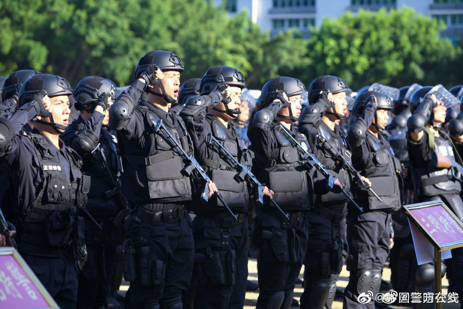 澳格雷格莫蒂默游轮船员60%阳性，烫手的山芋澳大利...
