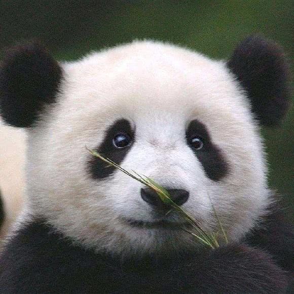 5本主角不是人类的网络小说，创意很独特，老书虫看得欲罢不能