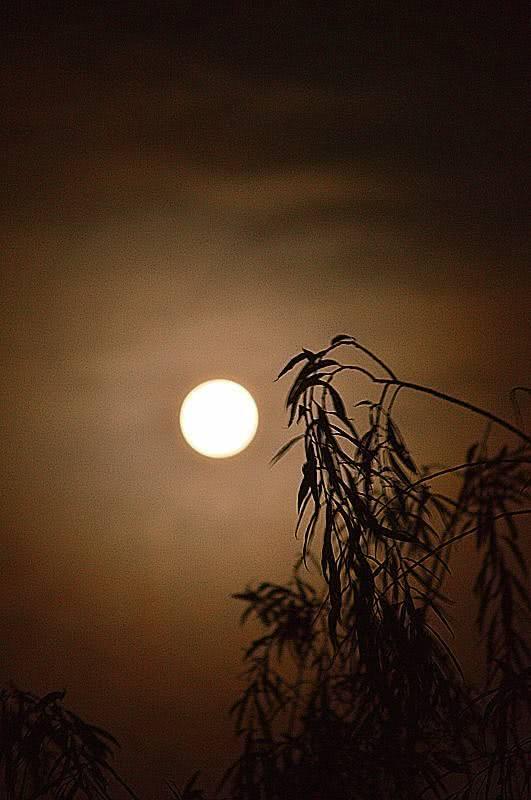 夜深人静心情感悟的经典说说,适合每天睡前思考!